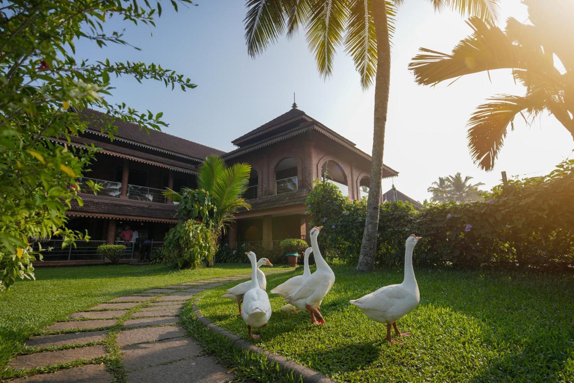 Lakesong Resort Kumarakom Exteriér fotografie