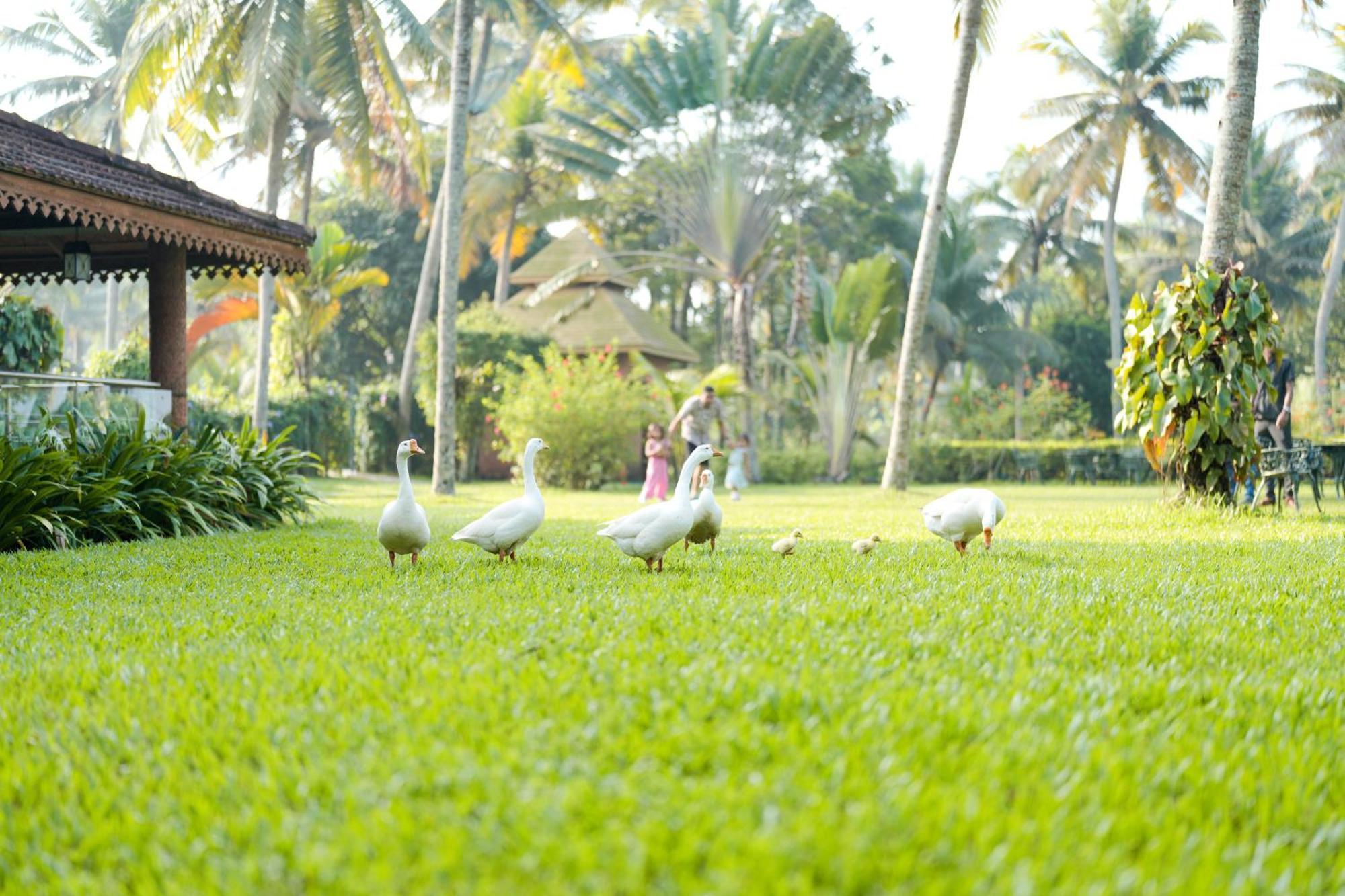 Lakesong Resort Kumarakom Exteriér fotografie